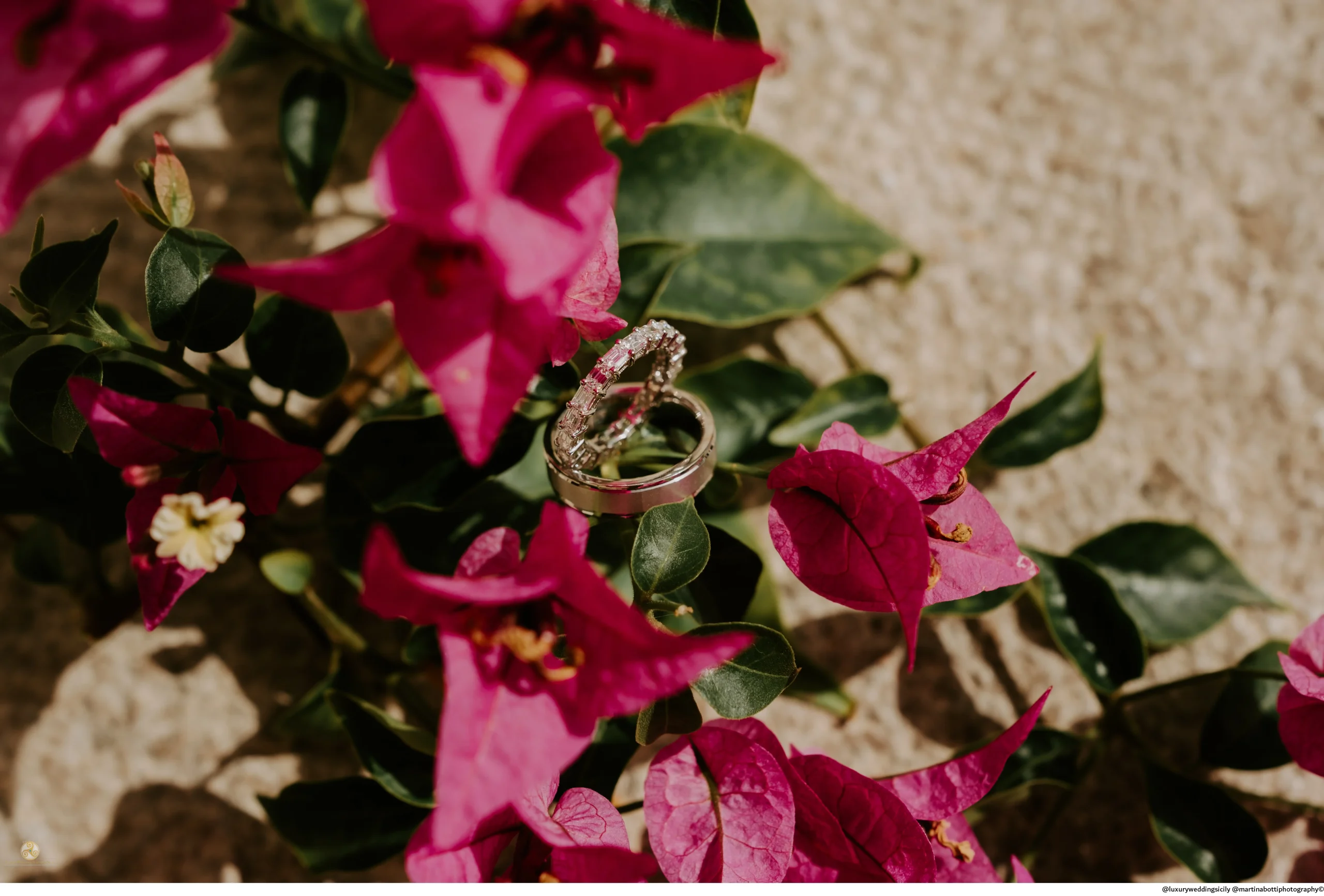 Portfolio 559 wedding rings celebrations cermeony flowers siclian wedding in taormina